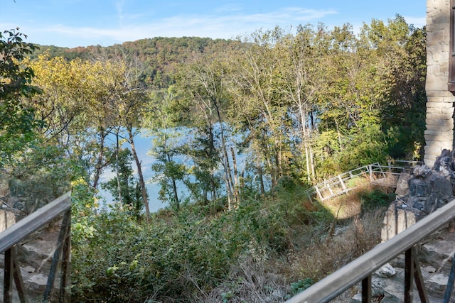 196 Lakeside Way, Forsyth, MO 65653 - water view with a forest