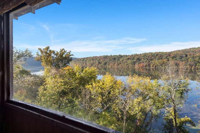 196 Lakeside Way, Forsyth, MO 65653 - water view with a heavily wooded area