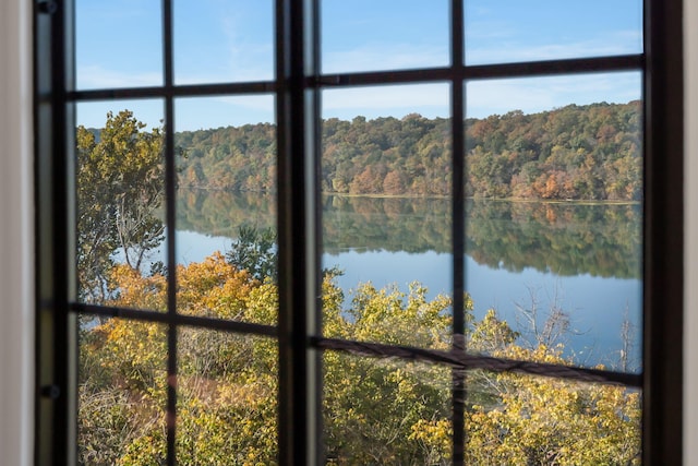 196 Lakeside Way, Forsyth, MO 65653 - detailed view of nearby water