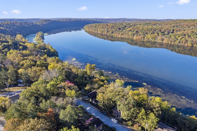 196 Lakeside Way, Forsyth, MO 65653 - bird's eye view of a heavily wooded area and a large body of water