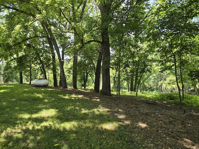 458 County Road 922, Thornfield, MO 65762 - photo 40