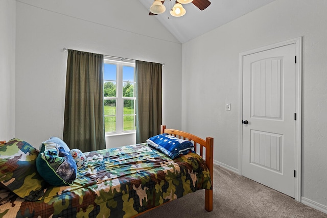 806 E Grant St, Ash Grove, MO 65604 - photo 22