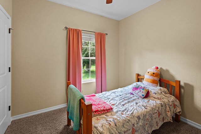 806 E Grant St, Ash Grove, MO 65604 - photo 24