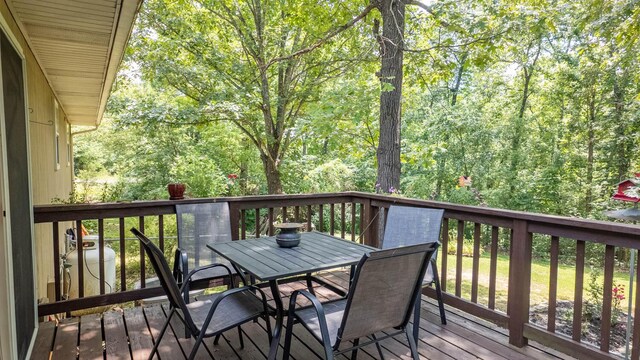 552 County Road 8500, West Plains, MO 65775 - photo 6