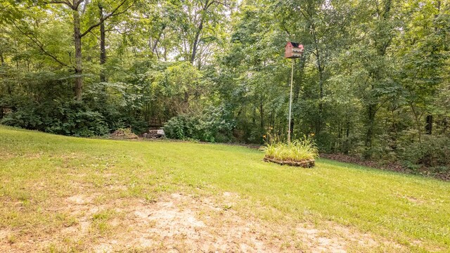 552 County Road 8500, West Plains, MO 65775 - photo 40