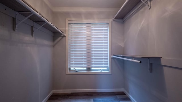 24 Oniatara Ln, Cherokee Village, AR 72529 - walk in closet with wood finished floors