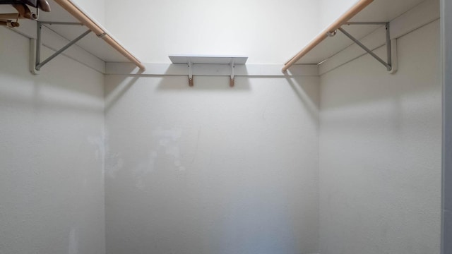 24 Oniatara Ln, Cherokee Village, AR 72529 - view of spacious closet