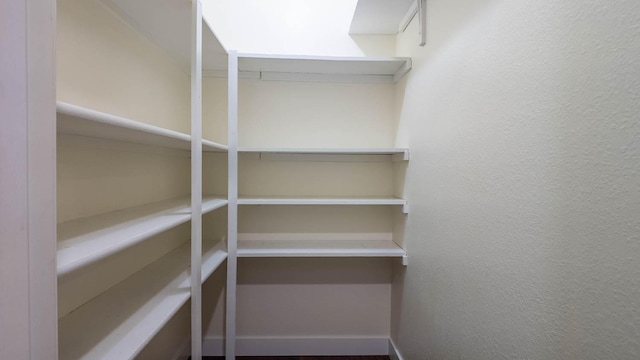 24 Oniatara Ln, Cherokee Village, AR 72529 - view of pantry