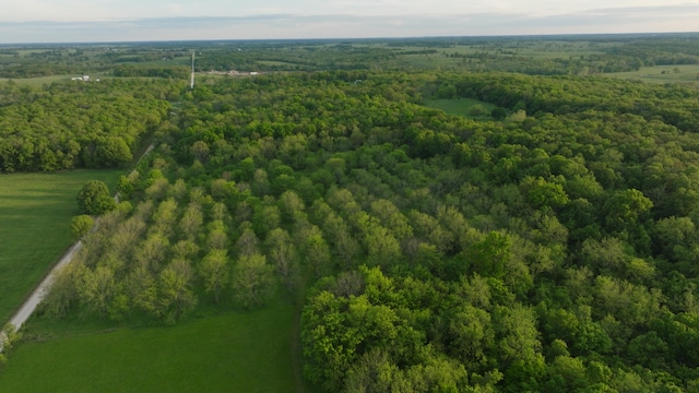 18420 S 975th Rd, Stockton, MO 65785 - photo 75