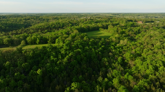 18420 S 975th Rd, Stockton, MO 65785 - photo 81