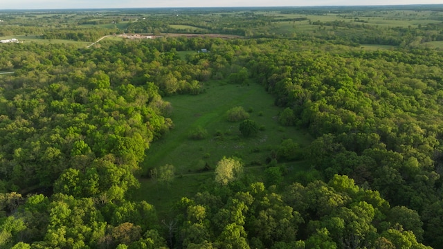 18420 S 975th Rd, Stockton, MO 65785 - photo 92