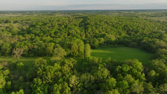 18420 S 975th Rd, Stockton, MO 65785 - photo 89