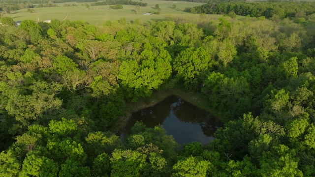 18420 S 975th Rd, Stockton, MO 65785 - photo 87