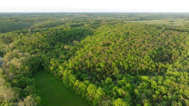 18420 S 975th Rd, Stockton, MO 65785 - photo 82