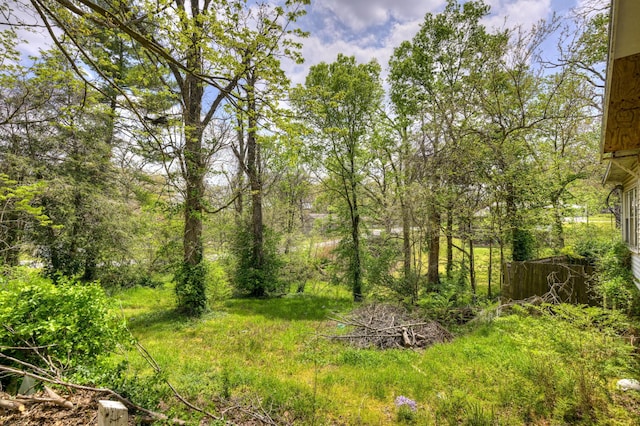 207 W Grand, Neosho, MO 64850 - view of yard