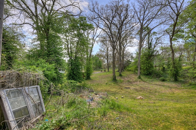 207 W Grand, Neosho, MO 64850 - view of yard