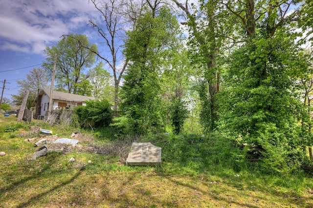 207 W Grand, Neosho, MO 64850 - view of yard