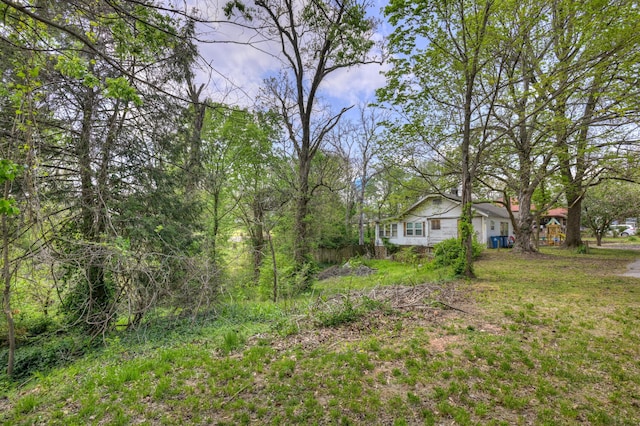 207 W Grand, Neosho, MO 64850 - view of yard