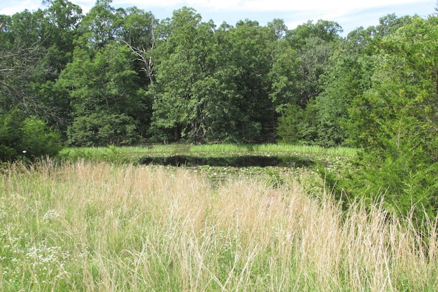 1 Owl Trl, Conway, MO 65632 - photo 1