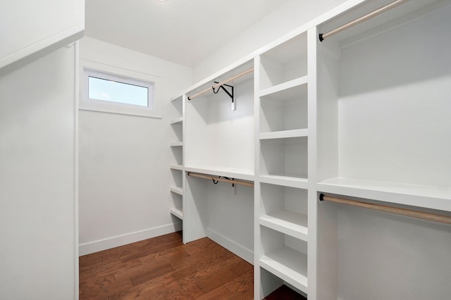 5030 E Swale Ct, Springfield, MO 65802 - spacious closet with wood finished floors
