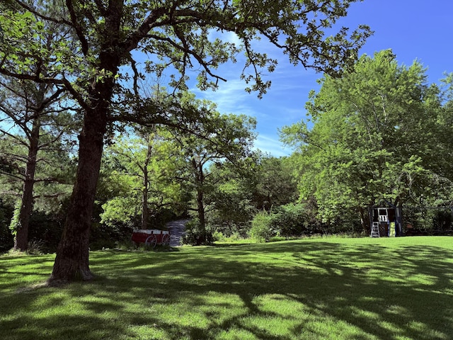 361 Boston Rd, Oldfield, MO 65720 - photo 5