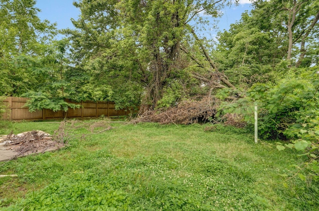 2025 N Roosevelt Ave, Springfield, MO 65803 - photo 11