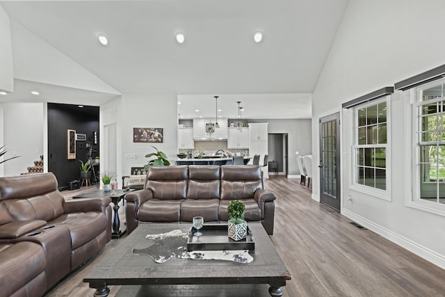 13030 County Lane 228, Oronogo, MO 64855 - living room featuring high vaulted ceiling, recessed lighting, and wood finished floors