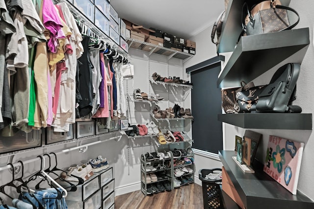 13030 County Lane 228, Oronogo, MO 64855 - spacious closet with wood finished floors
