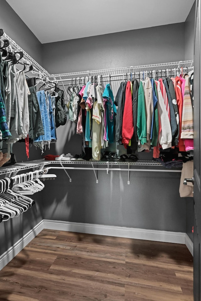13030 County Lane 228, Oronogo, MO 64855 - walk in closet with wood finished floors