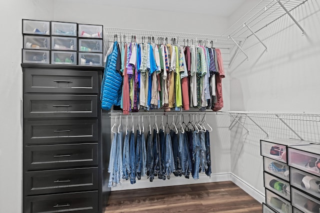 13030 County Lane 228, Oronogo, MO 64855 - spacious closet with dark wood finished floors