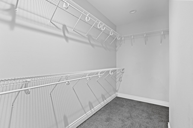 13030 County Lane 228, Oronogo, MO 64855 - spacious closet featuring dark carpet