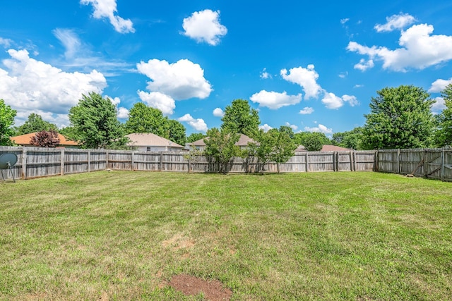 5238 S Tanager Ave, Battlefield, MO 65619 - photo 30