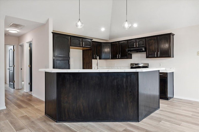 4421 W Tilden St, Springfield, MO 65802 - kitchen with under cabinet range hood, dark brown cabinets, electric range oven, lofted ceiling, and light wood-style flooring