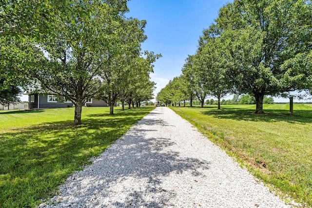 4201 N Farm Rd Unit 205, Strafford, MO 65757 - view of dirt / gravel road