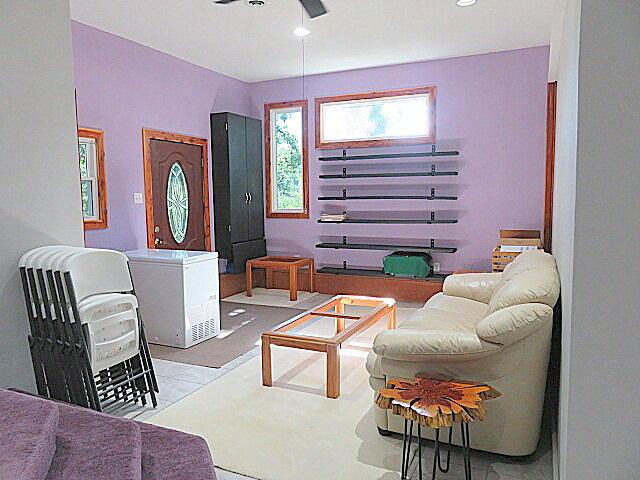 257 Firefly Ln, Fair Grove, MO 65648 - photo 21