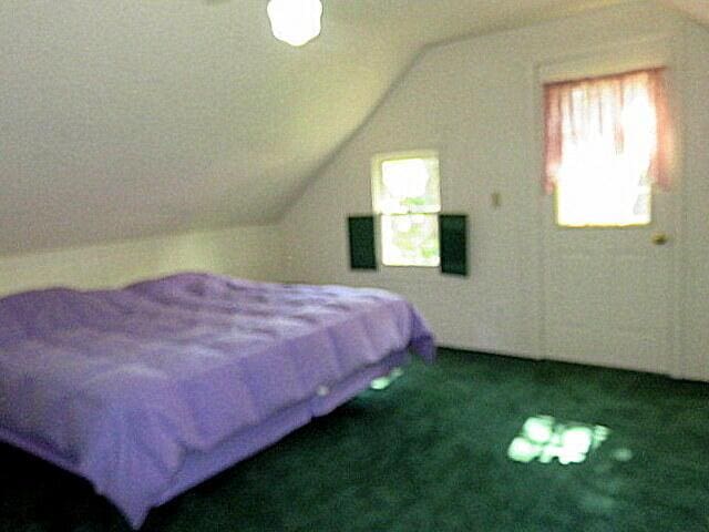 257 Firefly Ln, Fair Grove, MO 65648 - photo 19