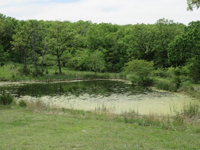 257 Firefly Ln, Fair Grove, MO 65648 - photo 39