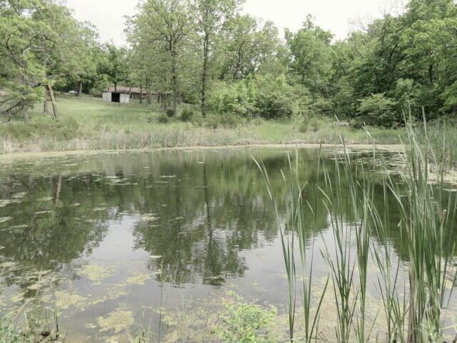 257 Firefly Ln, Fair Grove, MO 65648 - photo 32