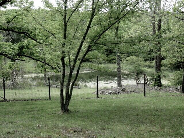 257 Firefly Ln, Fair Grove, MO 65648 - photo 33