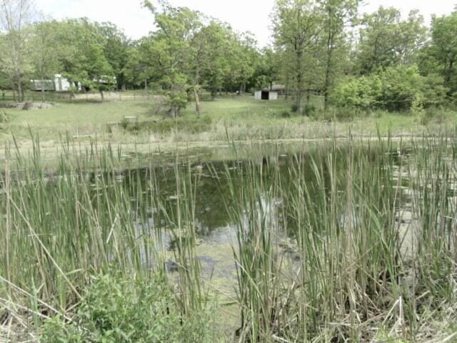 257 Firefly Ln, Fair Grove, MO 65648 - photo 40