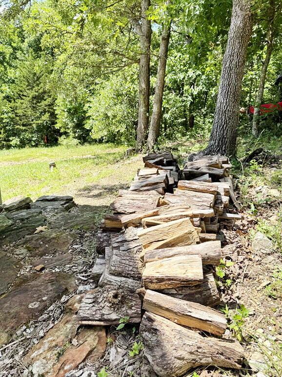 000 SE 1200th Rd, Collins, MO 64738 - photo 32