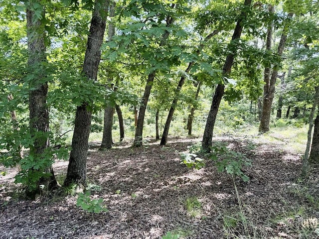 000 SE 1200th Rd, Collins, MO 64738 - photo 39