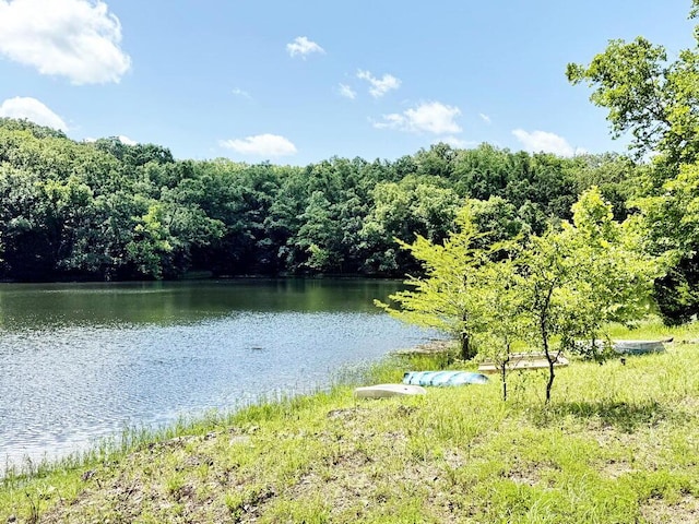 000 SE 1200th Rd, Collins, MO 64738 - photo 22