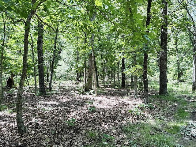 000 SE 1200th Rd, Collins, MO 64738 - photo 40