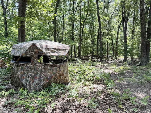 000 SE 1200th Rd, Collins, MO 64738 - photo 42