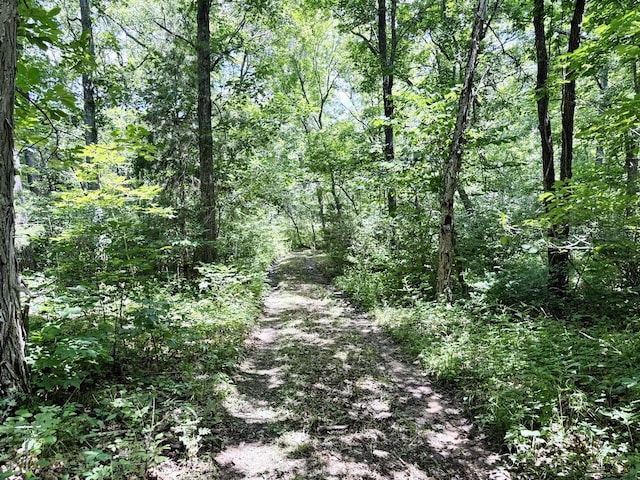 000 SE 1200th Rd, Collins, MO 64738 - photo 36