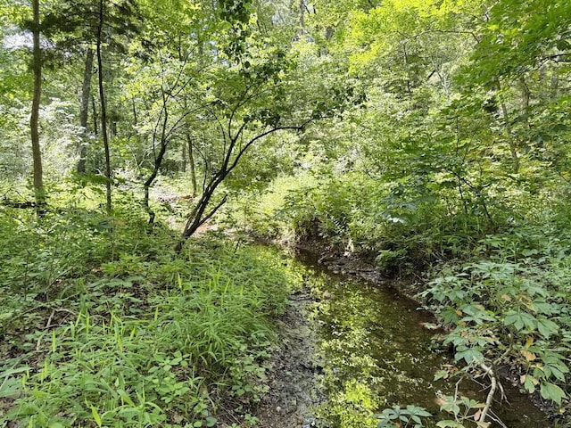 000 SE 1200th Rd, Collins, MO 64738 - photo 37