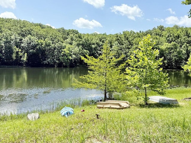 000 SE 1200th Rd, Collins, MO 64738 - photo 24