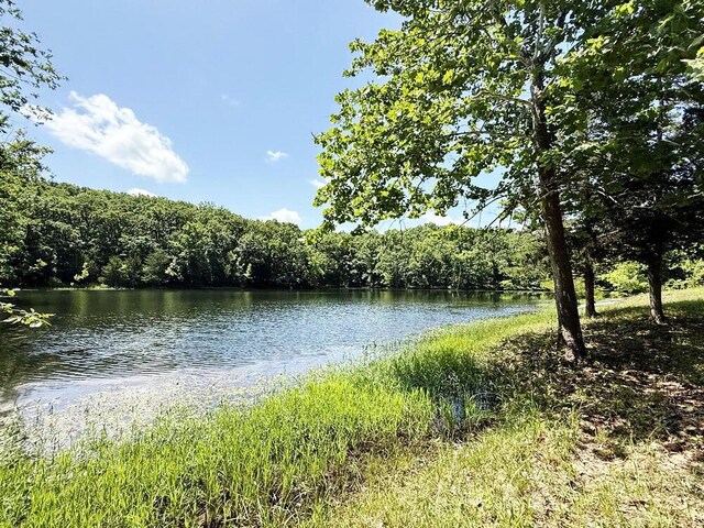 000 SE 1200th Rd, Collins, MO 64738 - photo 26