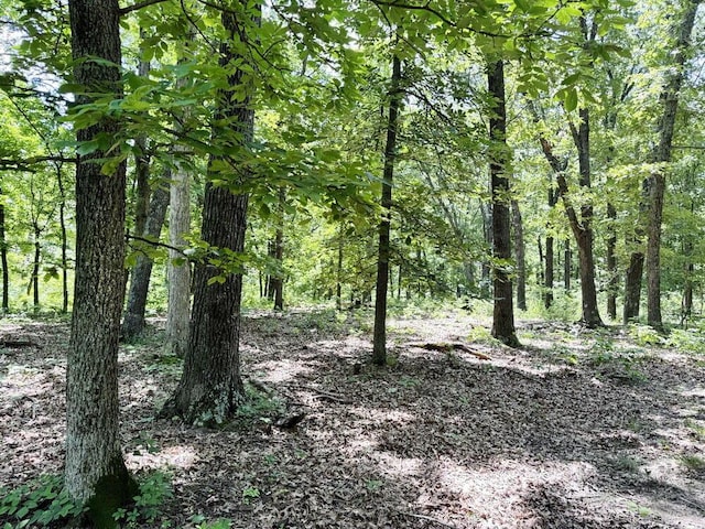 000 SE 1200th Rd, Collins, MO 64738 - photo 41